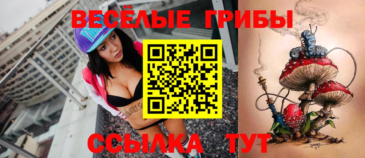 Галлюциногенные грибы Magic Shrooms Новороссийск