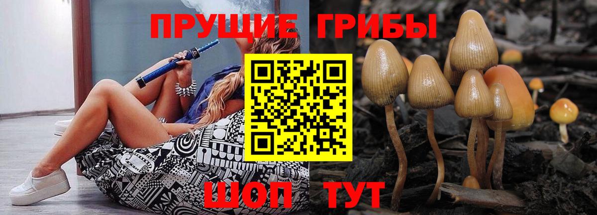Новороссийск  Псилоцибиновые грибы Psilocybine cubensis  Вход с VPN 